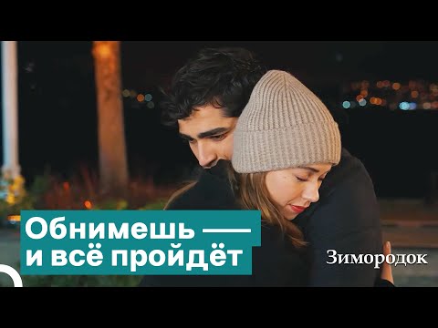 Видео: Пара, безумно влюблённая друг в друга | Зимородок