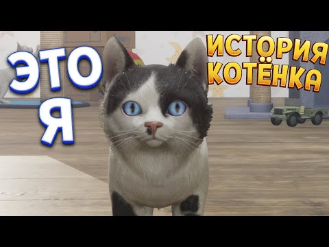 Видео: ИСТОРИЯ КОТЁНКА ( Kitten Tales )