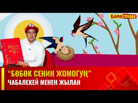 Видео: Чабалекей менен жылан | БӨБӨК СЕНИН ЖОМОГУҢ | 20.12.2023