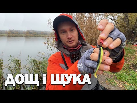 Видео: Риболовля під дощем ЩУКА і ОКУНЬ НА СПІНІНГ