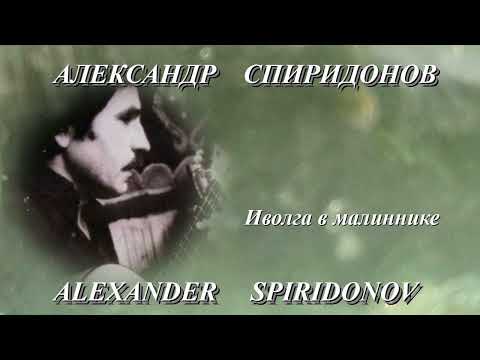 Видео: Александр Спиридонов ИВОЛГА В МАЛИННИКЕ