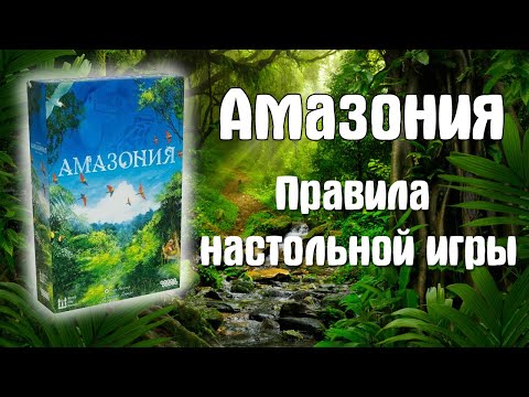 Видео: Амазония Правила настольной игры