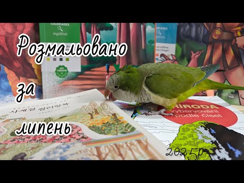 Видео: Розмальовано за липень 2025р / розмальовки Hachette, pixel, аркуш