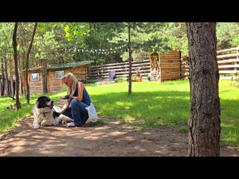 Видео: ИЗВЪНГРАДСКИ ИМОТ.СЕМЕЙНО НАСЛЕДСТВО ИЛИ СБЪДВАНЕ НА НАША МЕЧТА?#извънграда#къщаизвънграда#offgrid#