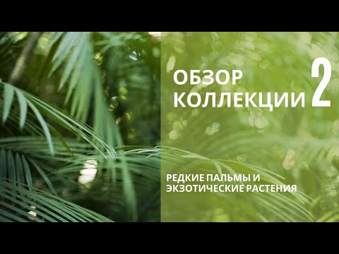 Видео: Обзор коллекции 2 часть