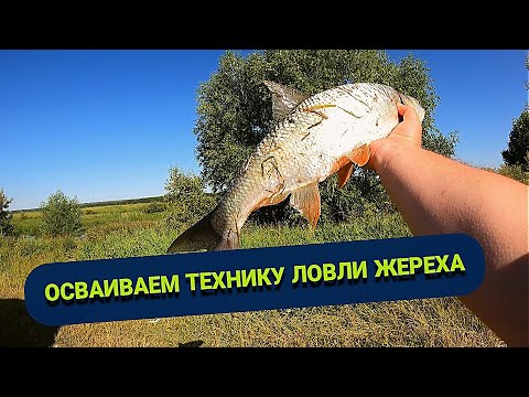 Видео: Осваиваем технику ловли жереха на спиннинг. Ловля жереха на спиннинг с берега. р.Пьяна