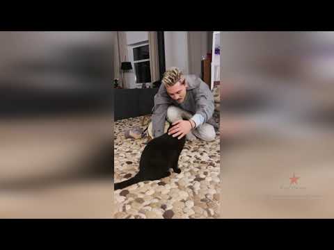 Видео: Встреча Димы Билана с котом Соломоном