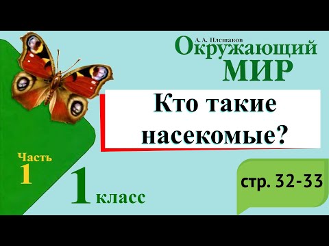 Видео: Кто такие насекомые? Окружающий мир. 1 класс, 1 часть. Учебник А. Плешаков стр. 32-33