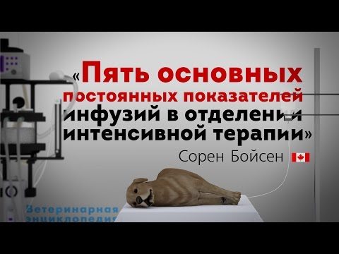 Видео: Пять основных постоянных показателей инфузий в отделении интенсивной терапии.