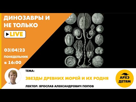 Видео: Занятие "Звезды древних морей и их родня" кружка "Динозавры и не только" с Ярославом Поповым
