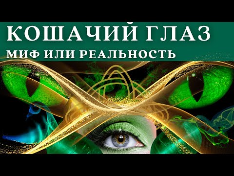 Видео: Кошачий Глаз - Миф или Реальность?
