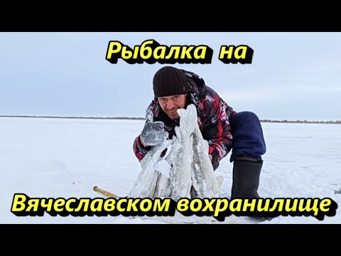 Видео: Рыбалка на Вячеславском водохранилище