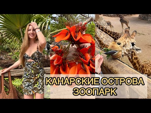 Видео: КАНАРСКИЕ ОСТРОВА,ФУЭРТЕВЕНТУРА, ИСПАНИЯ, CANARY ISLANDS, SPAIN.ЗООПАРК OASIS WILDLIFE FUERTEVENTURA
