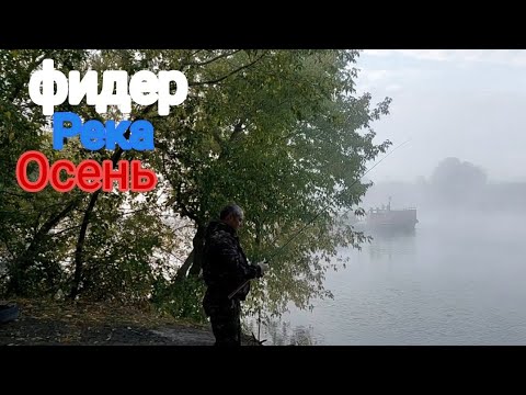 Видео: Рыбалка осенью на фидер. Москва река.