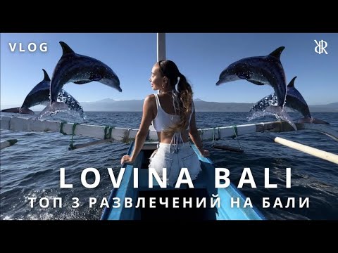 Видео: ЭКСКУРСИЯ С ДЕЛЬФИНАМИ | КЛУБНИЧНАЯ ФЕРМА | ЗНАМЕНИТЫЕ ВОРОТА БАЛИ 2024