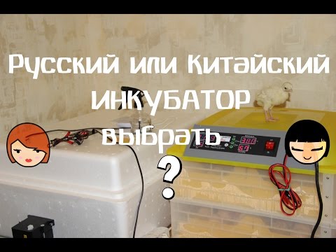 Видео: Какой инкубатор выбрать? Китайский или русский?