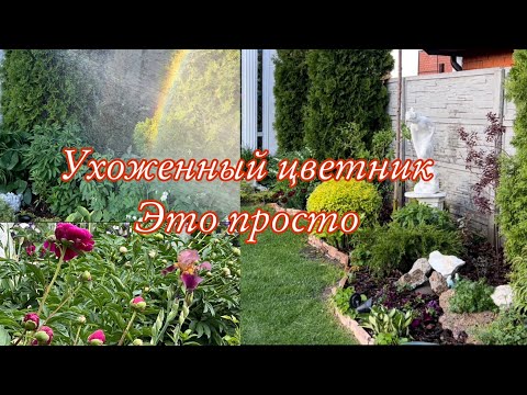 Видео: Ухоженный цветник , покупки для сада , шар из спиреи