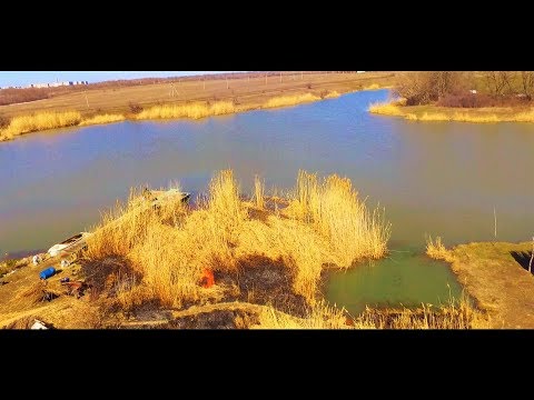 Видео: Проект "Аренда водоёма" 44 (ДР)