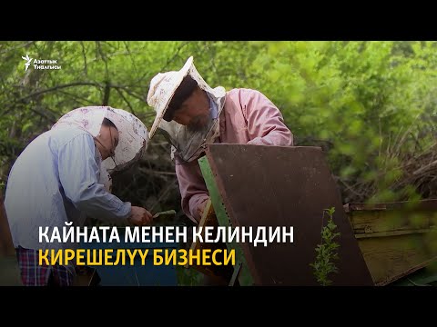 Видео: Кайната менен келиндин кирешелүү бизнеси