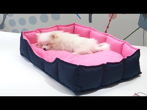 Видео: Шьём лежанку для собаки