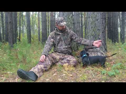 Видео: о Remengton