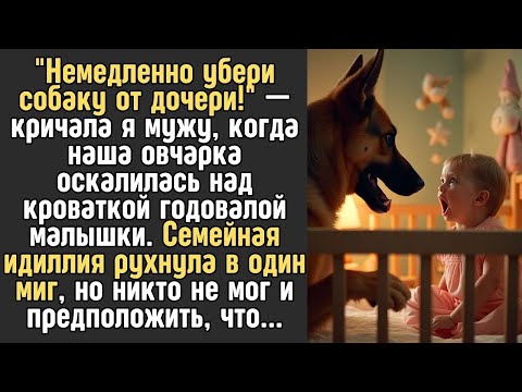 Видео: ＂Немедленно убери собаку от дочери!＂ — кричала я мужу, когда наша овчарка оскалилась над кроватк