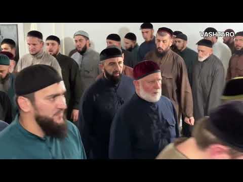 Видео: Идрис х1усмехь. 03.11.2025. Янди