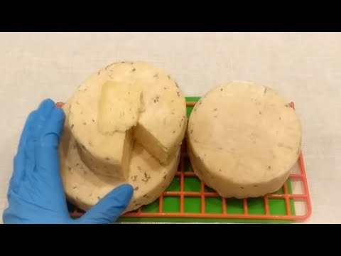 Видео: Как сделать сыр Мюнстер (по мотивам рецептуры Мюнстер) / Сыр с мытой коркой Brevibacterium linens