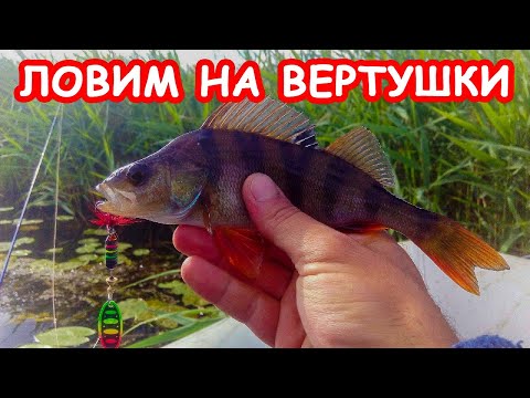 Видео: Учимся ловить окуня на вертушки. Окунь на вертушки