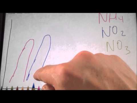 Видео: МОРСКОЙ НАНО АКВАРИУМ: ЗАПУСК. ЧАСТЬ4: АЗОТНЫЙ ЦИКЛ