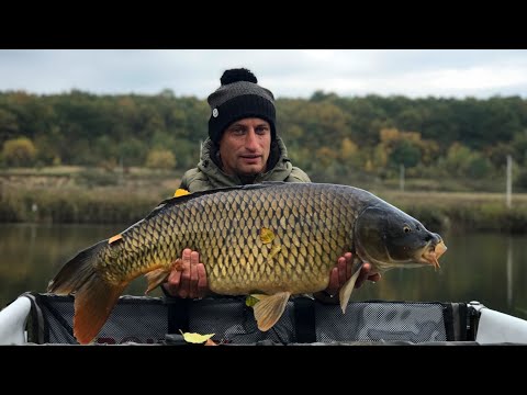 Видео: Осіння Ловля Коропа на Фрукти ?