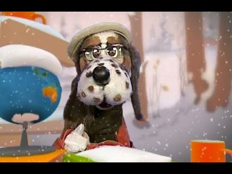Видео: 🐕День домашних животных 30 ноября - Праздник каждый день  -15 - (Шишкин лес)