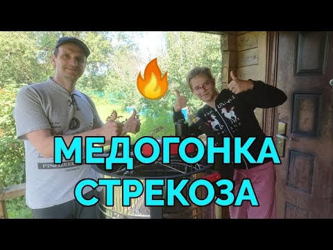 Видео: Начали качать мёд новой медогонкой Стрекоза КЭЭ-4 от Феролайф!