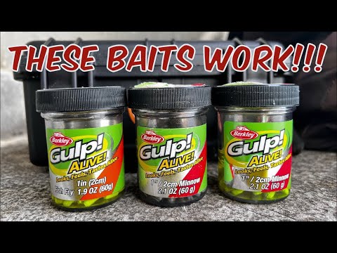Видео: Поймайте БОЛЬШЕ краппи ранней осенью, используя эти наживки для вылупления!