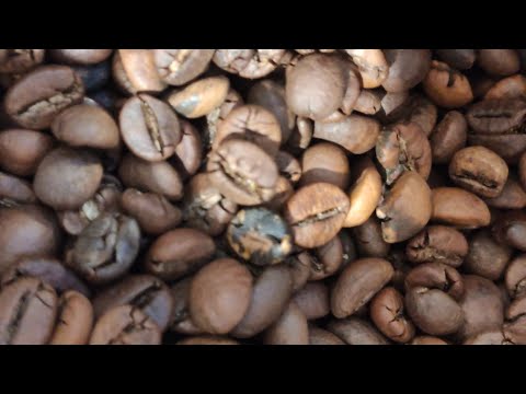 Видео: Подделка кофе Bushido red katana, куплена на Озоне ⚠️⚠️⚠️