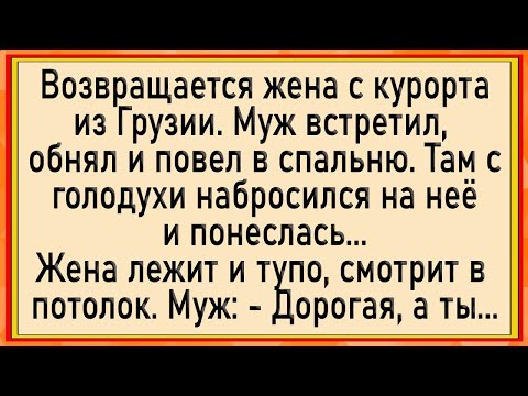 Видео: Как жена в Грузии залетела! Сборник свежих анекдотов! Юмор!