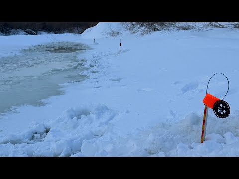 Видео: ПО ТРОПАМ НАЛИМА НА РЕКЕ НУРА! РЫБАЛКА В КАЗАХСТАНЕ!