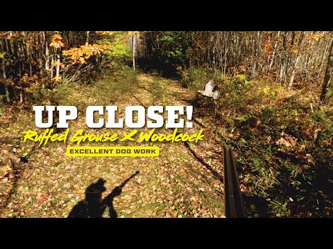 Видео: Колокольчик или нет? НАСЫЩЕННАЯ ОПЫТОМ охота на рябчика и кемпинг на грузовике. Часть 2