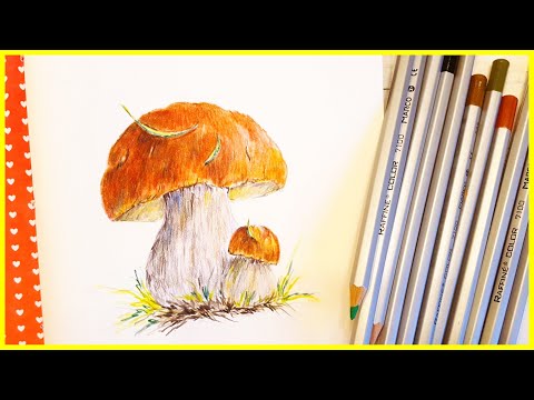 Видео: 🎨Рисуем Грибы цветными карандашами с АлиЭкспресс! Запись трансляции!