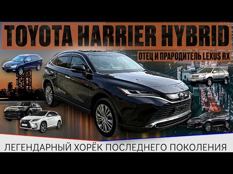 Видео: Toyota Harrier Hybrid / санкционный авто / утиль сбор / Lexus RX / харёк / авто из Японии /