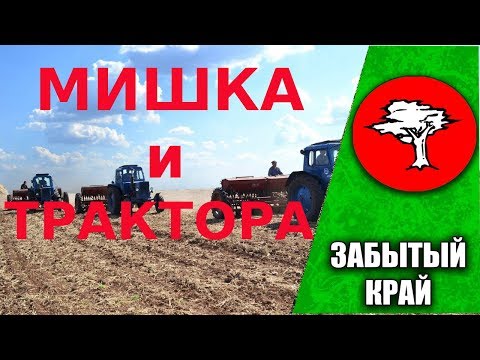 Видео: Мишка и трактора