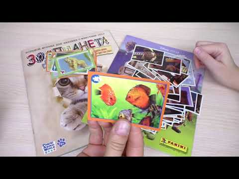 Видео: Меняемся наклейками (Вверх, Зоопланета 2013). Часть 142