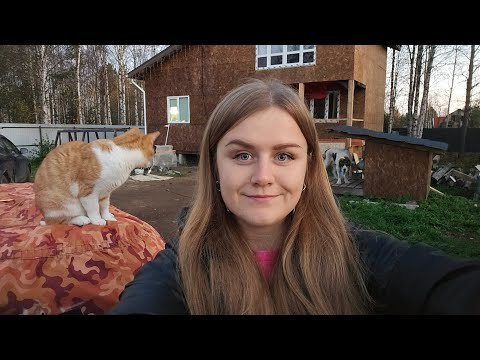 Видео: Хотим купить печь на первый этаж/как мы её  туда засунем/ну очень вкусное печенье.