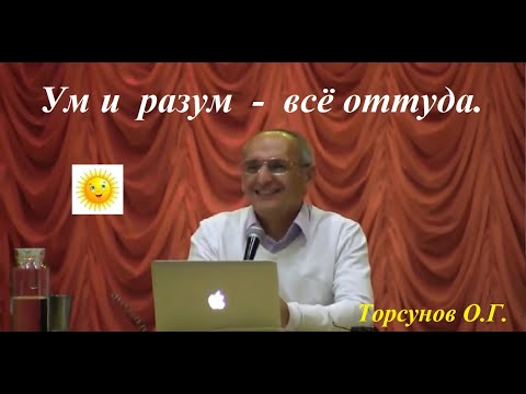 Видео: Ум и разум - всё оттуда.  Торсунов О.Г.