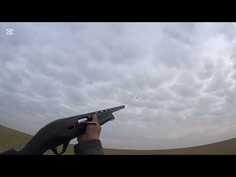 Видео: Суперская охота на жирную утку в поле,осень 2025