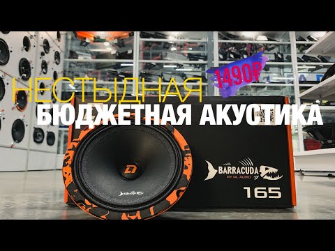 Видео: Нестыдная бюджетка DL Audio Barracuda 165