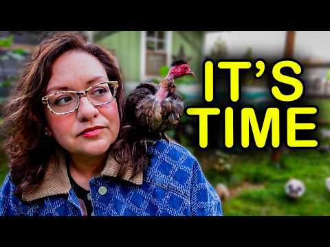 Видео: Произошло что-то действительно страшное, и мне нужно поговорить.