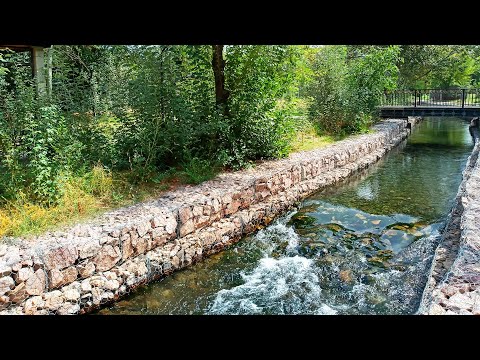 Видео: Увлекательная прогулка- релакс по набережной реки Кошкар - ата.Шок от  количества рыбы!!!