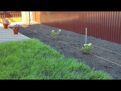 Видео: Выкопали картошку🥔 Первый раз скосили газон🌱 Покупки для сада🍀 #сад #огород  #картошка #газон