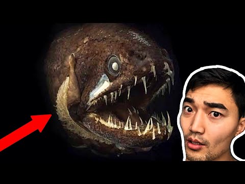 Видео: ДЭЛХИЙН ГҮНД ЮУ БАЙГАА БОЛ ???